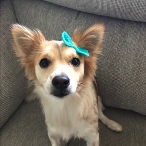 Meet your Posher, Cj